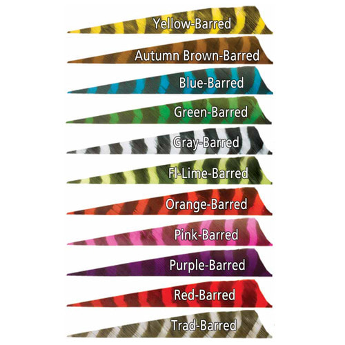 GATEWAY FEATHERS BARRED COLOR 1PCSA-FAC archery