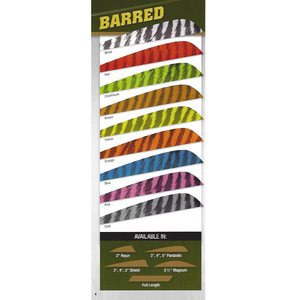 GATEWAY FEATHERS BARRED COLOR 1PCSA-FAC archery